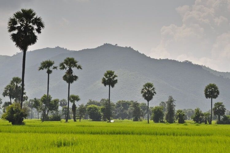 Phnom Roap Bat